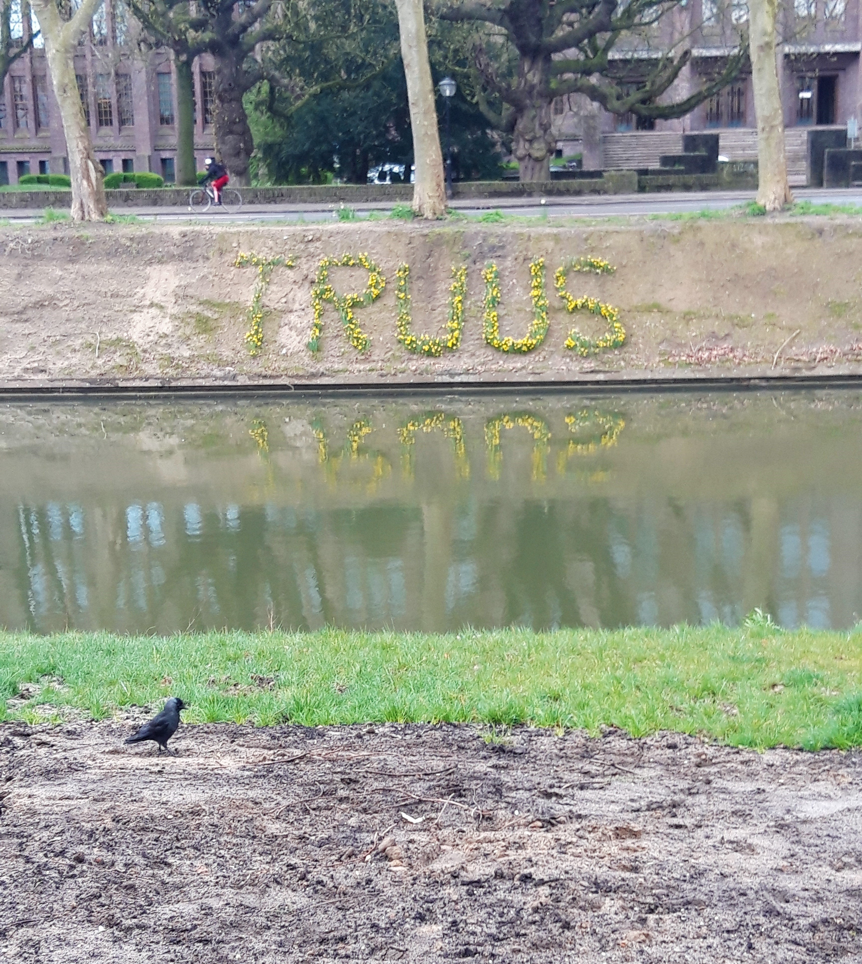 Foto van de Singel met op de kade gele tulpen die de naam Truus vormen.